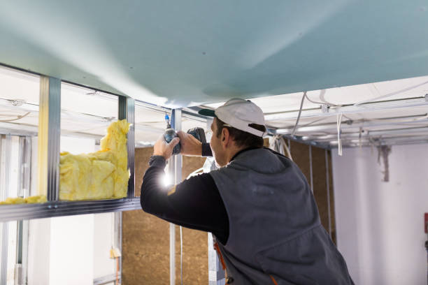 Eco-Friendly or Green Insulation Solutions in Rossford, OH