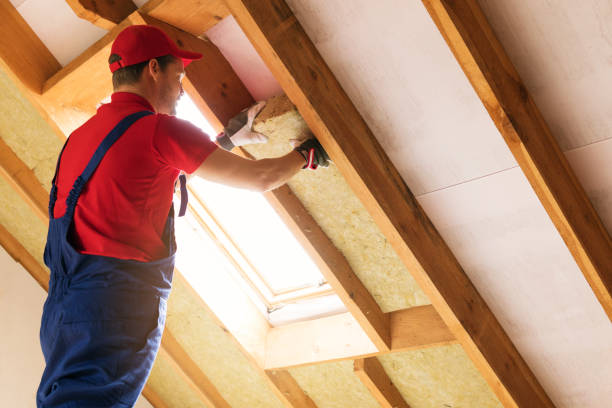 Best Insulation Air Sealing  in Rossford, OH